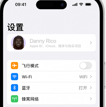 定兴appleID维修服务iPhone设置中Apple ID显示为灰色无法使用 