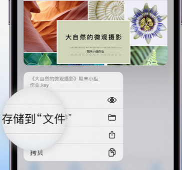 定兴apple维修中心分享iPhone文件应用中存储和找到下载文件