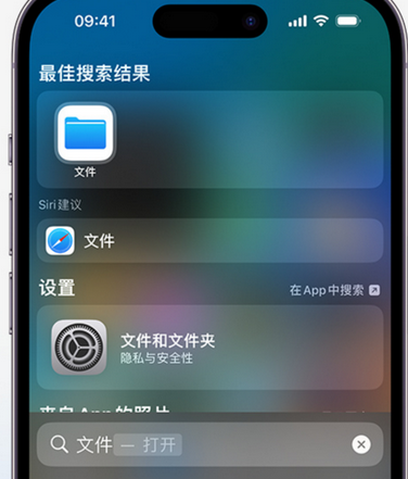 定兴apple维修中心分享iPhone文件应用中存储和找到下载文件 