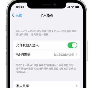 定兴apple服务站点分享iPhone上个人热点丢失了怎么办 