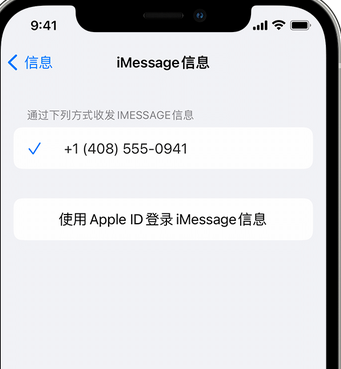 定兴apple维修iPhone上无法正常发送iMessage信息 