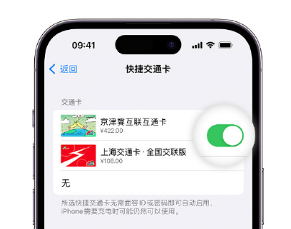 定兴apple维修点分享iPhone上更换Apple Pay快捷交通卡手绘卡面 