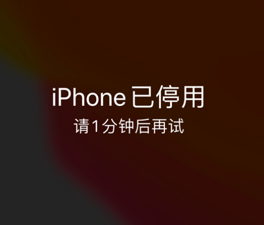 定兴苹果手机维修分享:iPhone 显示“不可用”或“已停用”怎么办？还能保留数据吗？ 