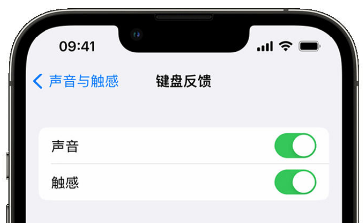 定兴苹果手机维修分享iPhone 14触感键盘使用方法 
