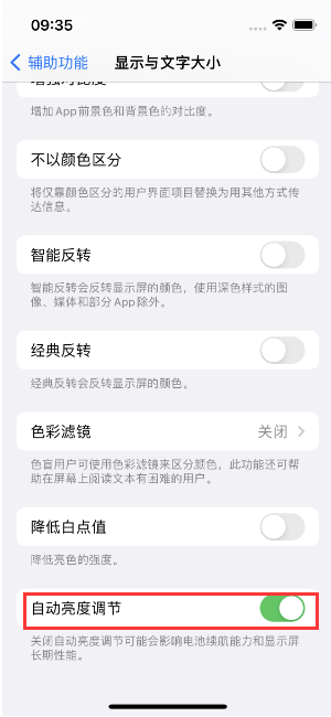 定兴苹果15维修店分享iPhone 15 Pro系列屏幕亮度 