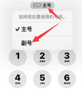 定兴苹果14维修店分享iPhone 14 Pro Max使用副卡打电话的方法 