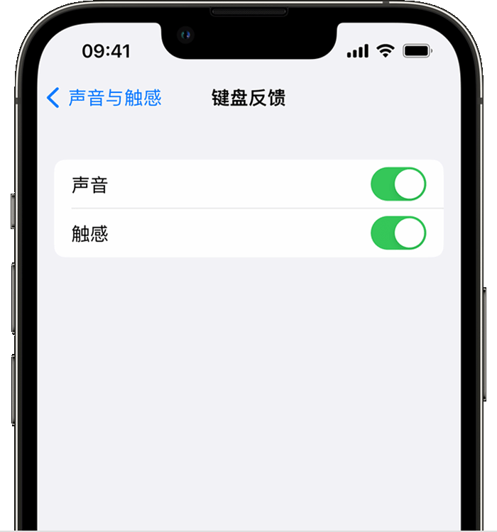 定兴苹果14维修分享iPhone 14 系列机型如何开启键盘声音或触感反馈 