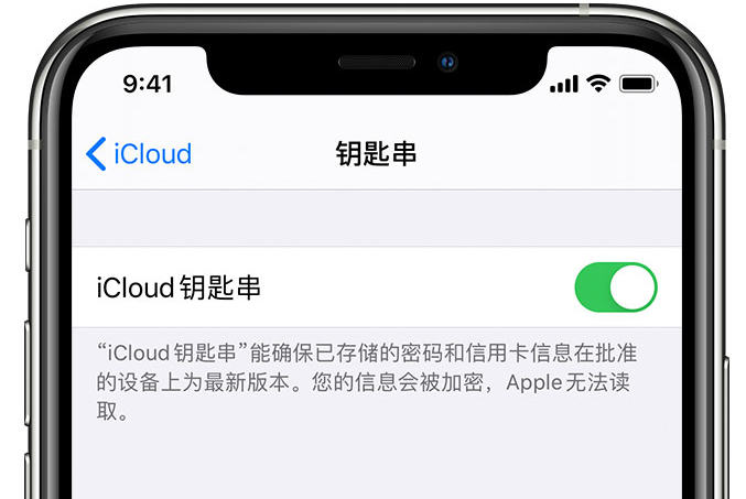 定兴苹果手机维修分享在 iPhone 上开启 iCloud 钥匙串之后会储存哪些信息 