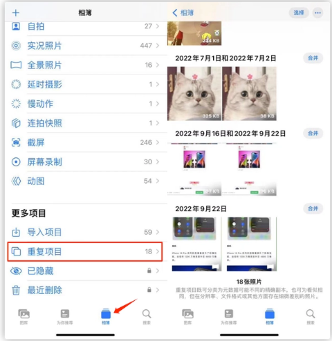 定兴苹果手机维修分享iOS 16 中相册重复项目功能使用方法 