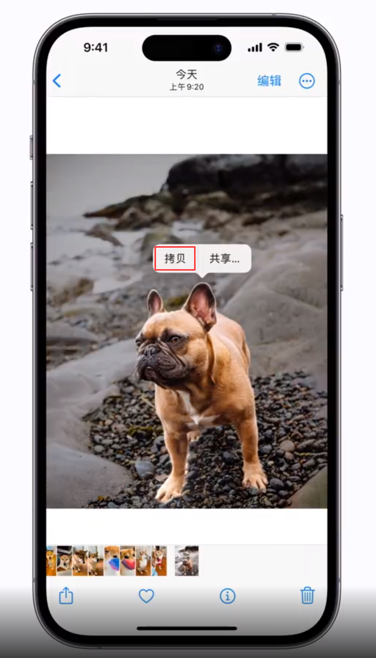 定兴苹果手机维修分享 iOS 16 自带一键抠图功能 