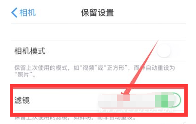 定兴苹果13维修分享iPhone13拍照有绿点是怎么回事 