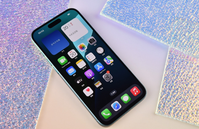 定兴苹果手机维修分享为什么大家不喜欢苹果iPhone 16 Plus 