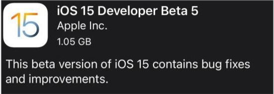 定兴苹果手机维修分享如何升级到iOS15.0 beta5 