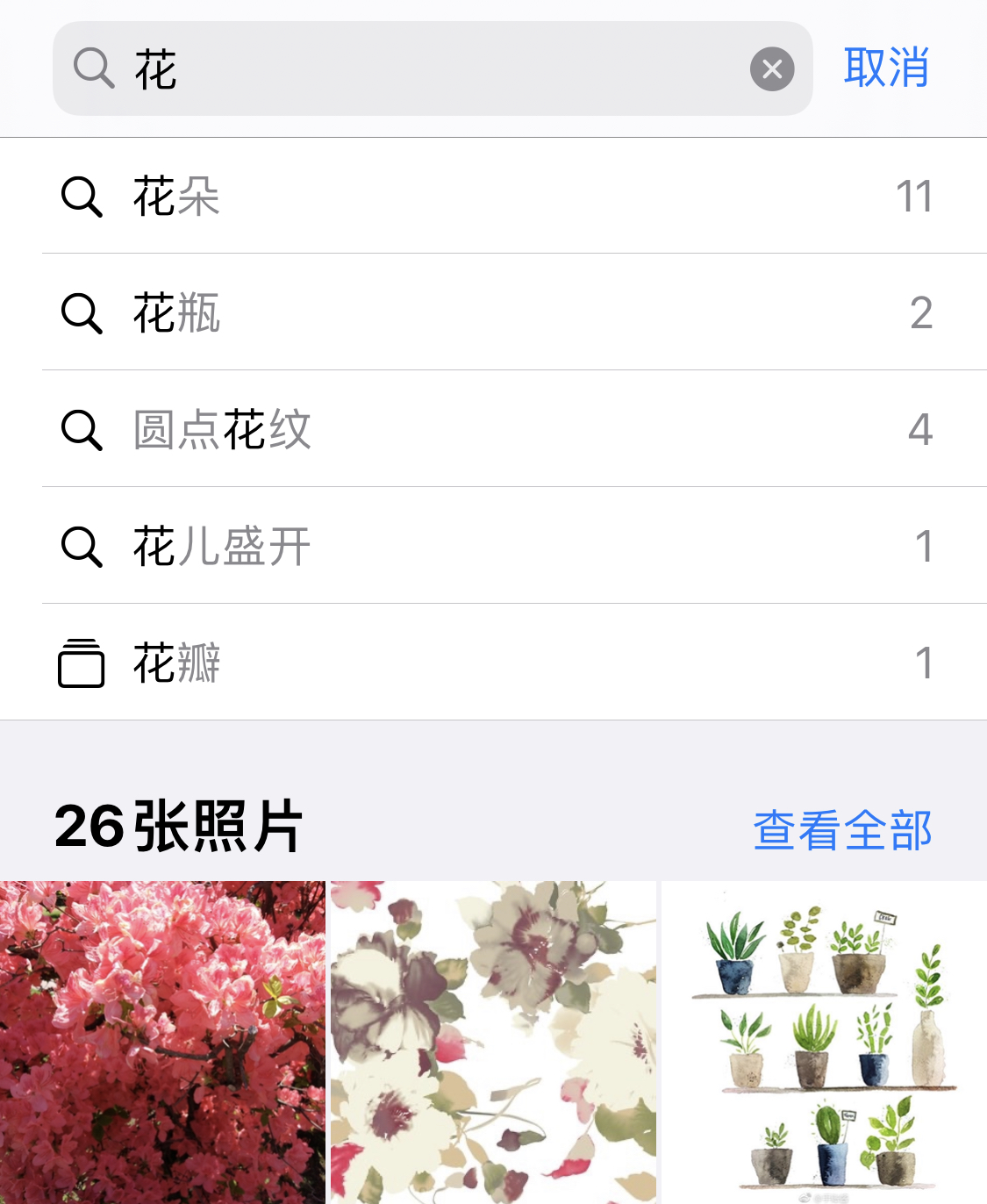 定兴苹果手机维修分享iPhone 小技巧 