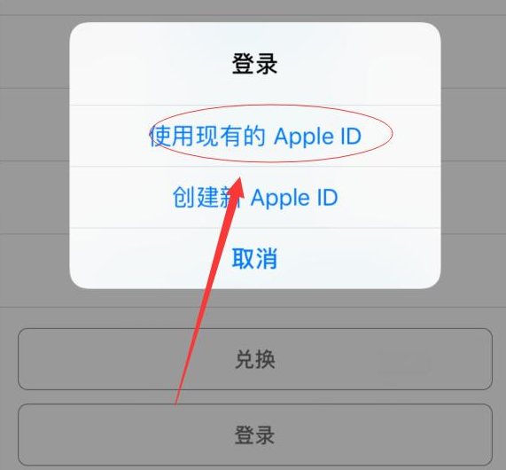 定兴苹果手机维修分享两台iPhone设备可以同时登录一个Apple ID吗 