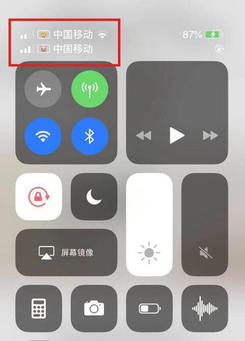 定兴苹果手机维修分享为 iPhone 12 双卡设置标签 