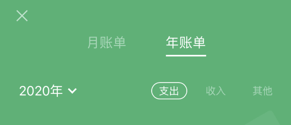 定兴苹果手机维修分享如何在 iPhone 上查看支付宝和微信年支出账单 