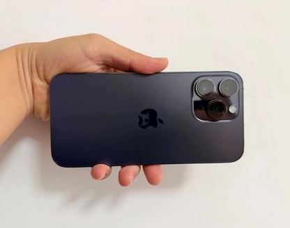定兴苹果维修点分享iPhone 14 Pro Max发烫多重诱因剖析 